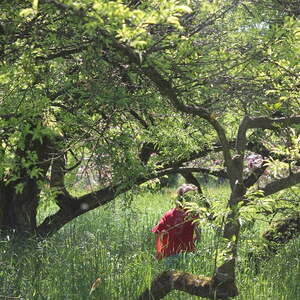 Die Schnitzeljagd der Jungschar auf dem Freinberg