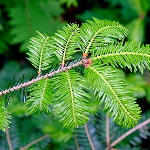 Waldbegehung