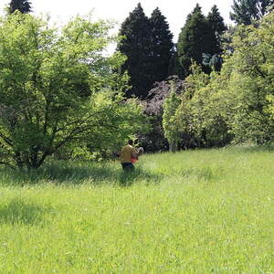 Die Schnitzeljagd der Jungschar auf dem Freinberg