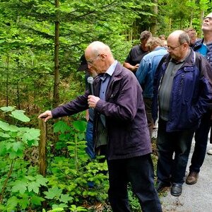 Waldbegehung